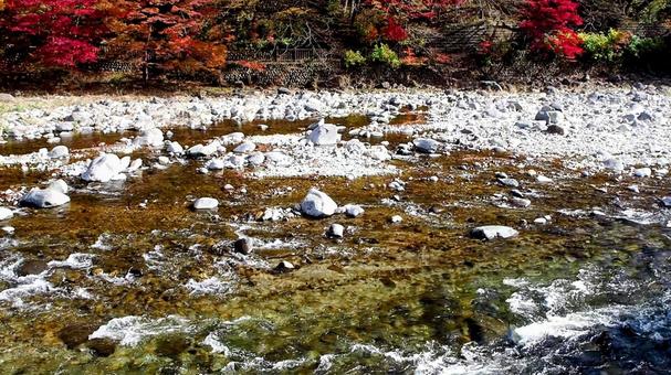 秋の塩原温泉郷・箒川の紅葉(那須塩原市) 秋の塩原温泉郷・箒川の紅葉(那須塩原市) 秋,塩原温泉郷,紅葉の写真素材