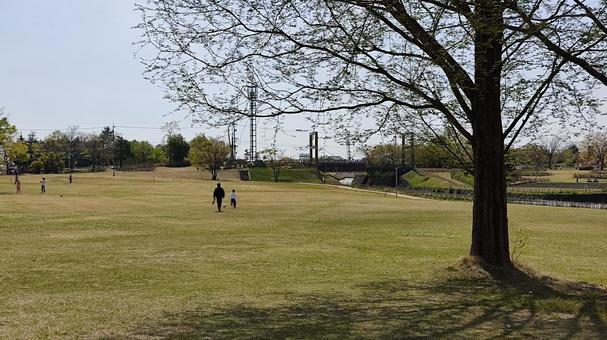 公園 公園の写真