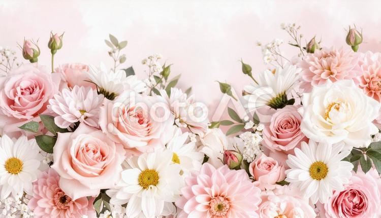 ピンク系の花のフェミニンな背景素材 花,ピンク,花束の写真素材