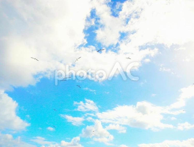 おがさわら丸から見る空 大型客船,景色,スペースの写真素材