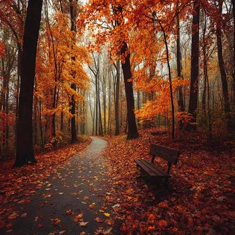 秋の森の小道、黄金色に染まる静寂の写真