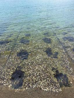 テトラスロープ 海,スロープ,テトラの写真素材