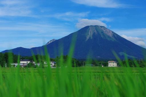 大山 稲穂 青空 雲 山並み 大山 稲穂 青空 雲 山並みの写真