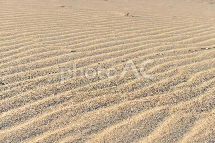 風紋のある砂浜 風紋,砂浜,海岸の写真素材
