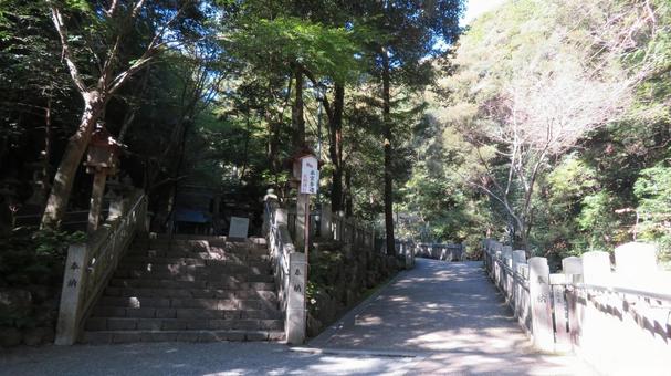 多度大社　境内の風景　参道 多度大社,神社,神社仏閣の写真素材