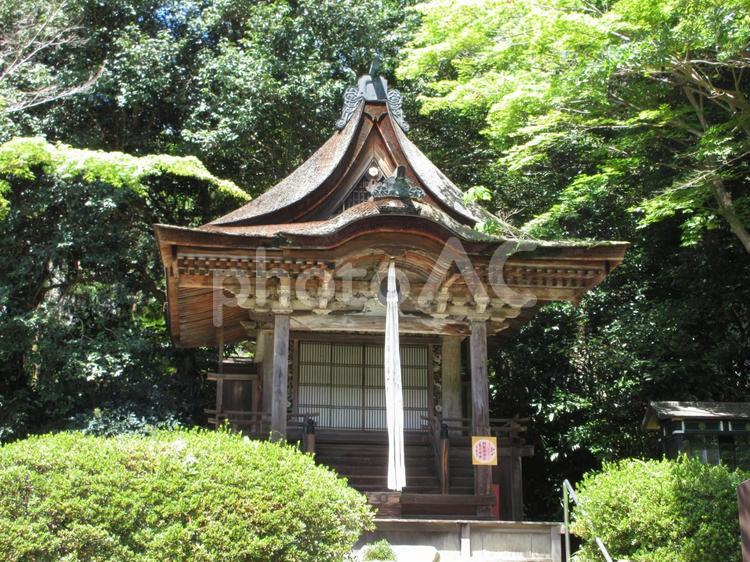 大阪府-観心寺-訶梨帝母天堂（鎮守堂） 観心寺,寺,檜尾山の写真素材