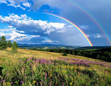 虹がかかる大草原と青空の風景写真 虹がかかる大草原と青空の風景写真の写真