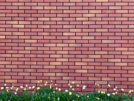 赤レンガの写真