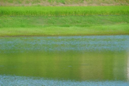 【風景写真】田んぼの風景 【風景写真】田んぼの風景の写真