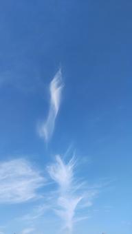 青空とすじ雲 青空,空,すじ雲の写真素材