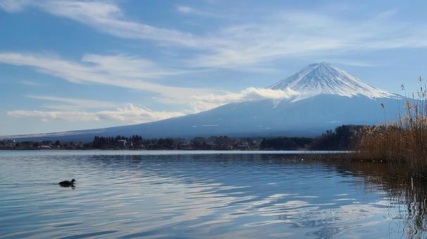 富士山と湖 富士山,河口湖,湖の写真素材