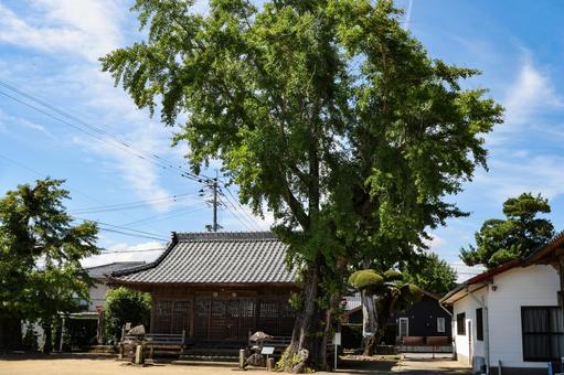 大魚神社 大魚神社 大魚神社,神社,拝殿の写真素材