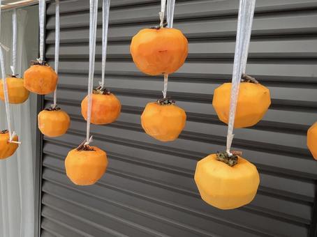 干し柿 干し柿,柿,くだものの写真素材