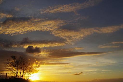 夕日と空 夕日,空,木の写真素材