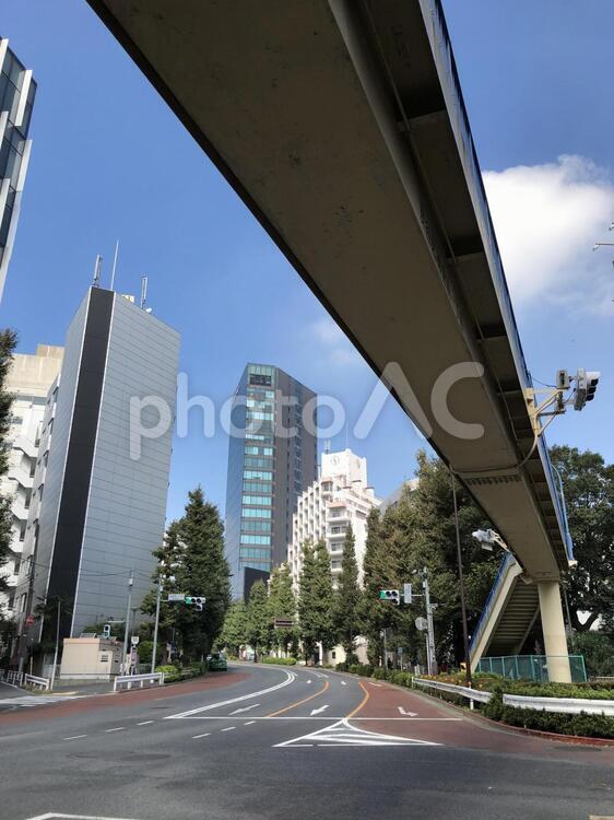 神宮前１丁目交差点 神宮前１丁目,交差点,原宿の写真素材