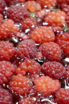 Raspberry washing06, JPG