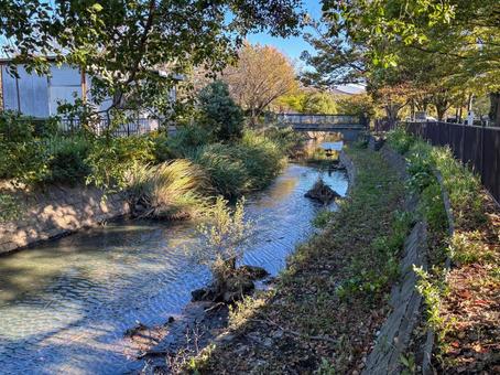 公園に流れる小川と橋 公園,川,小川の写真素材