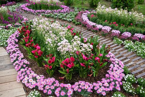 春の訪れの写真