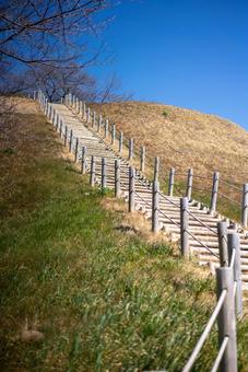 青空と枯れ草の丘を上る階段 風景,自然,屋外の写真素材