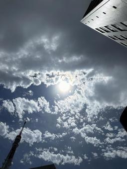 太陽 太陽の写真