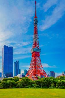 プリンス芝公園から東京タワー プリンス芝公園から東京タワー 東京タワー,高層ビル,青空の写真素材