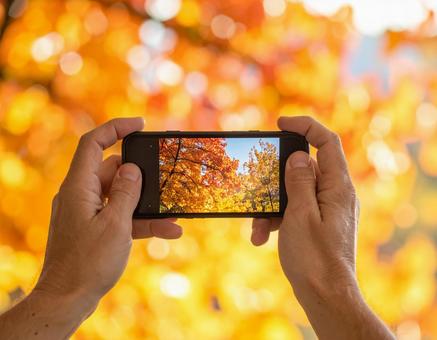 手元に広がる紅葉の風景 手元に広がる紅葉の風景の写真