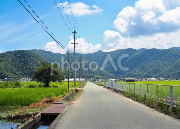 田舎の風景 田舎,田んぼ道,道路の写真素材