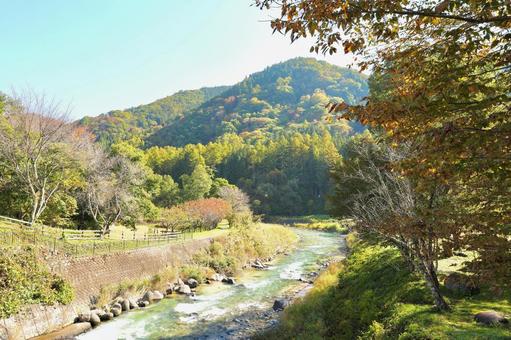 紅葉　大出公園 晴れ,冬山,アウトドアの写真素材