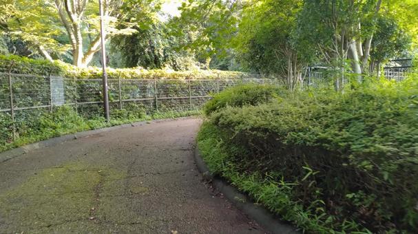 緑園歩道のカーブ 緑園歩道のカーブの写真