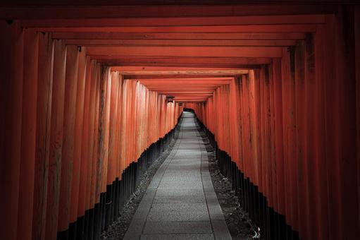 誰もいない京都伏見稲荷大社の千本鳥居 誰もいない京都伏見稲荷大社の千本鳥居 伏見稲荷,千本鳥居,鳥居の写真素材