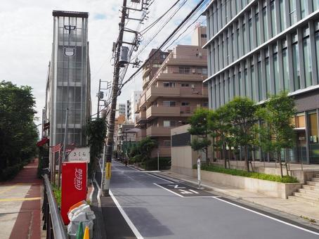 田道庚申通り(東京都・目黒区) タグ 田道庚申通り(東京都・目黒区) タグ 田道庚申通り,目黒川沿い,並木道の写真素材