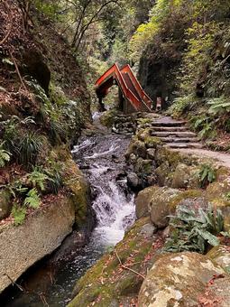 塩川滝３ 岩肌,植物,自然の写真素材