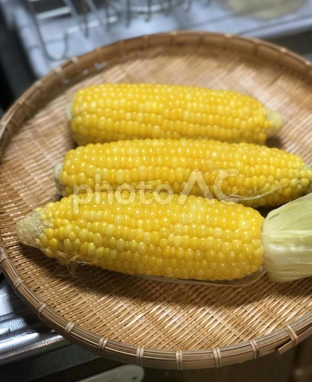 とうもろこし 茹でたて,トウモロコシ,黄色の写真素材