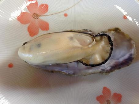 浦村の牡蠣2 浦村の牡蠣2の写真