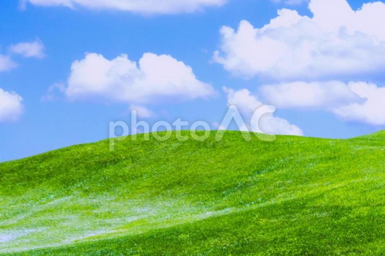 爽やかな緑の丘と青空・平和な風景 緑の丘,青空,自然の写真素材