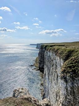 Bempton Cliffs, JPG Bempton Cliffs, JPG