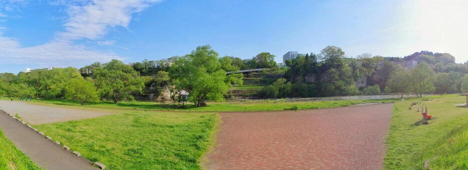 河原の公園 河川敷,公園,広瀬川の写真素材