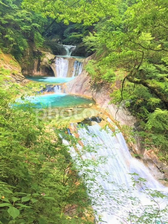七ツ釜五段の滝縦 七ツ釜五段の滝,西沢渓谷,滝の写真素材