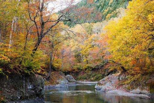 秋の滝上町の風景 滝上町,滝上渓谷錦仙峡,錦仙峡の写真素材
