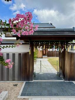 越前陶芸村　夏の装い　越前古窯博物館 越前陶芸村,夏,越前古窯博物館の写真素材