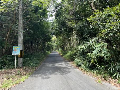 田舎道4 田舎道4の写真