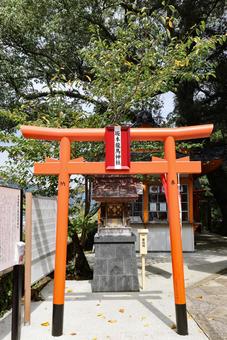 坂本龍馬神社 坂本龍馬神社 坂本龍馬,龍馬神社より分霊,桔梗紋の写真素材