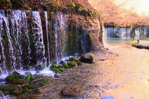 白糸の滝 白糸の滝の写真