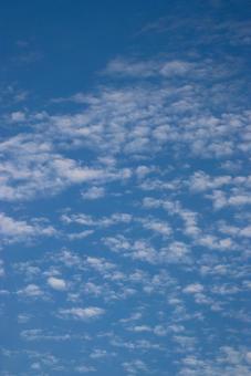 空 縦位置 空 縦位置の写真