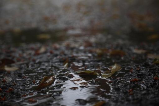 雨上がりの水たまり アスファルト,水面,水たまりの写真素材
