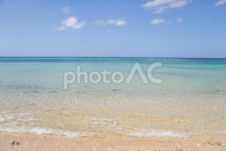 石垣島の美しい海 波,海,浜の写真素材