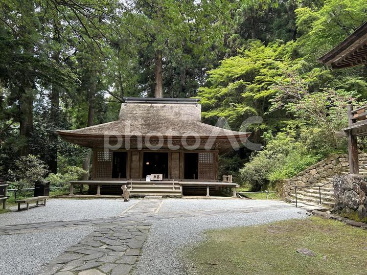 室生寺弥勒堂　初夏 室生寺,弥勒堂,重要文化財の写真素材