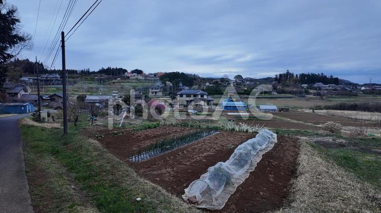 田舎の畑の向こうに見える民家 田舎,畑,農業の写真素材