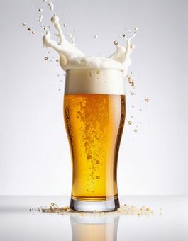 ビール(白背景) ビール(白背景)の写真