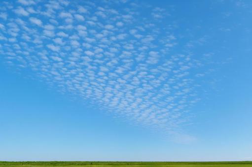 青空に広がるうろこ雲と低い地平線 青空に広がるうろこ雲と低い地平線の写真